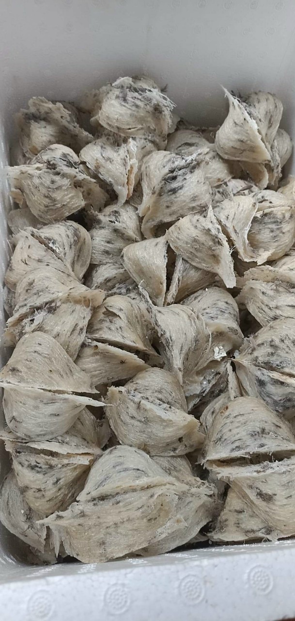 Yến Thô Nguyên Tổ 50g